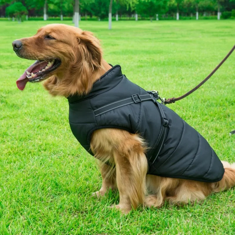 Dog Harness Jacket