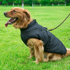 Dog Harness Jacket