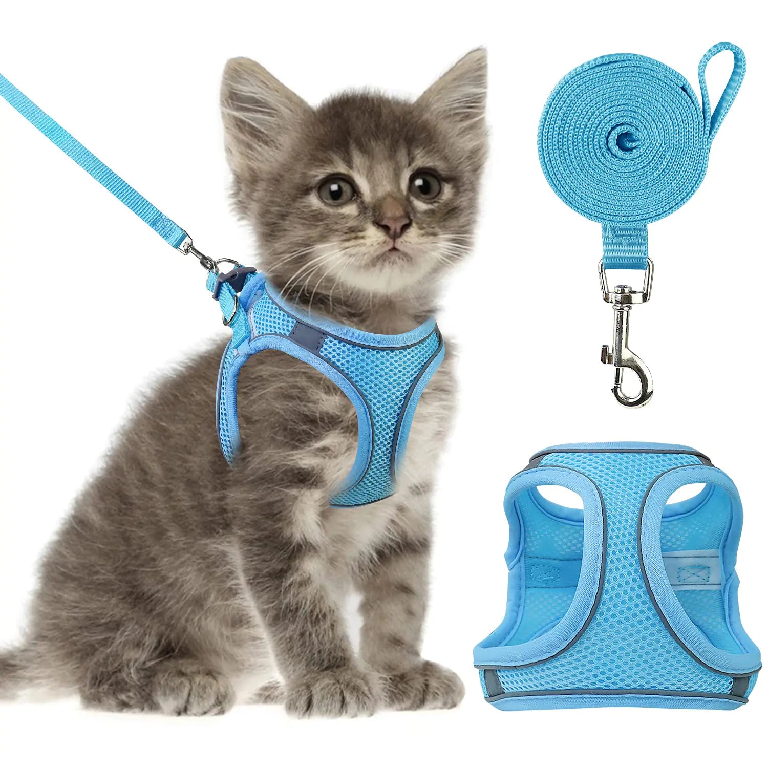 Cat Harness and Leash