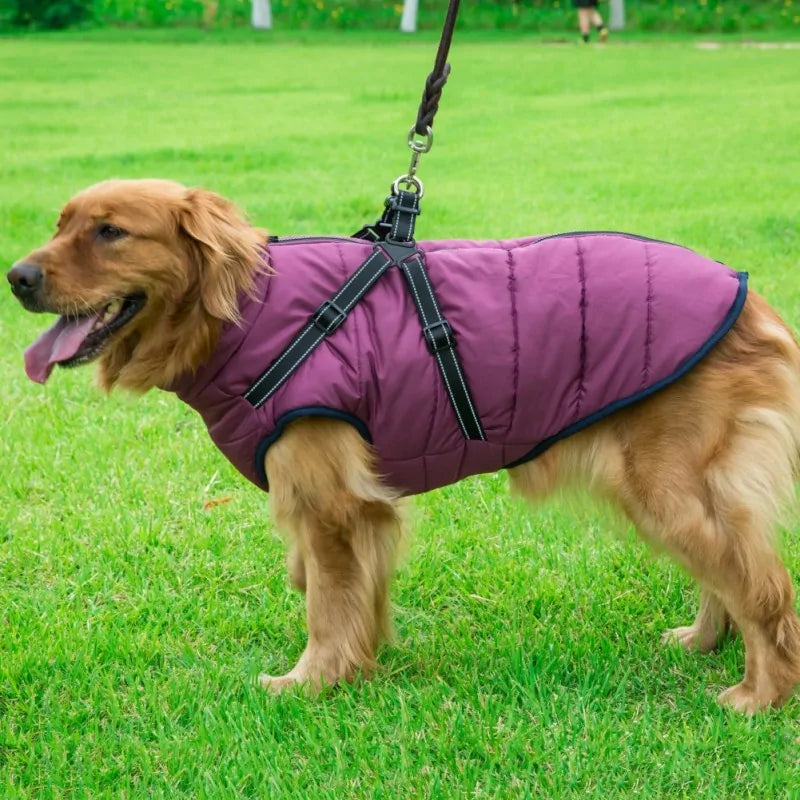 Dog Harness Jacket