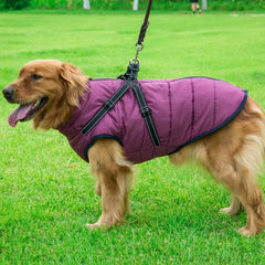 Dog Harness Jacket