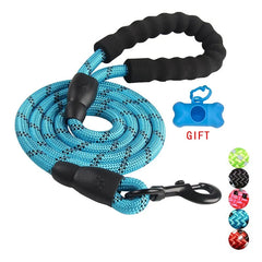 Dog Training Leash