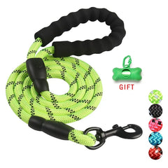 Dog Training Leash
