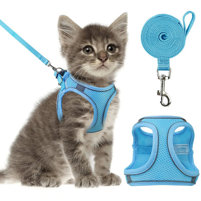 Cat Harness and Leash