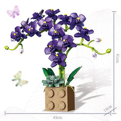 Orchid Building Block