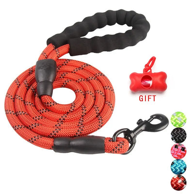 Dog Training Leash
