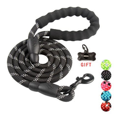 Dog Training Leash