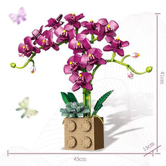 Orchid Building Block