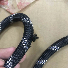 Dog Training Leash