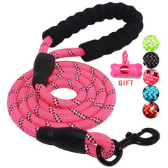 Dog Training Leash